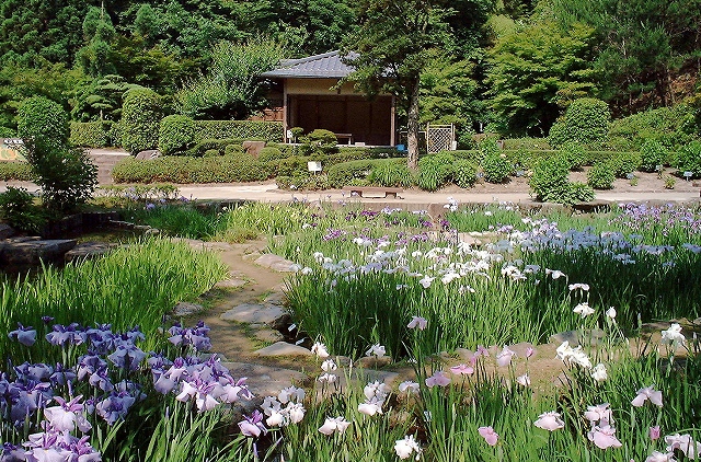 和心庵 日本庭園にある茶室 広島市植物公園