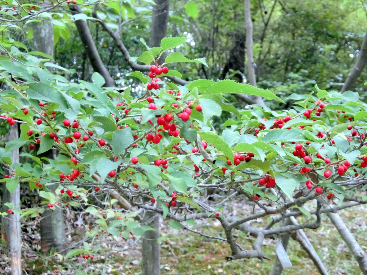 07297d092f6179251d594704e3eb42