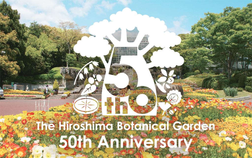 画像に alt 属性が指定されていません。ファイル名: image-3.png